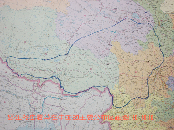 x(chng)Ĳݷֲ,x(chng)Ĳݷֲط,x(chng)ݷֲc(din),x(chng)Ĳݵķֲλ,x(chng)ݷֲĵط