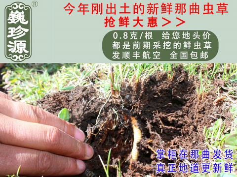 rxrxĲݣrx^ΡԴ0.8/rx^ڳҰrx