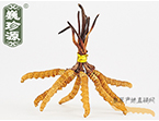 x(chng)Ĳ2.5l/ ڲ x؛r(ji)252Ԫ/