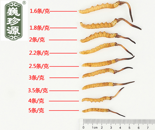 x(chng)Ĳ,x(chng)ĲݵҎ(gu)